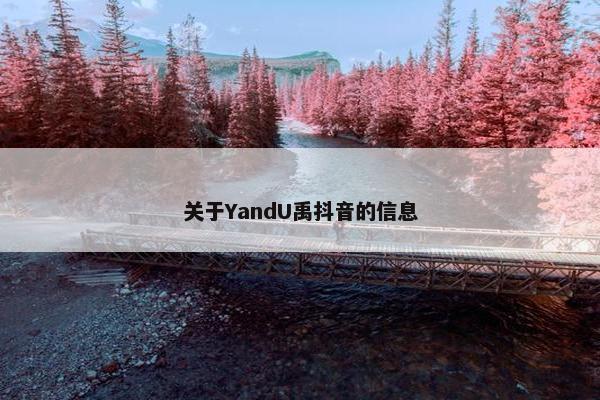关于YandU禹抖音的信息